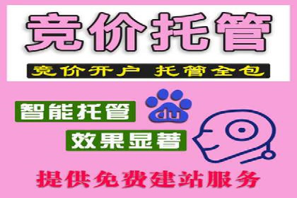 百度网络推广案例：揭秘行业领军企业如何保持竞争力